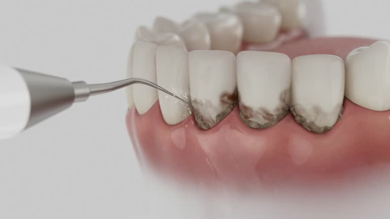 Reliable Dental contractor in Gardiner, ME by Dentist Open Now